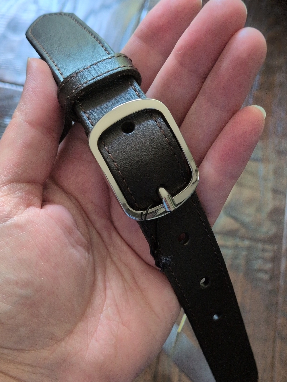 BANANA REPUBLIC I NWT Flora Dark Brown Leather Belt w/ Polished Silver Buckle, S
